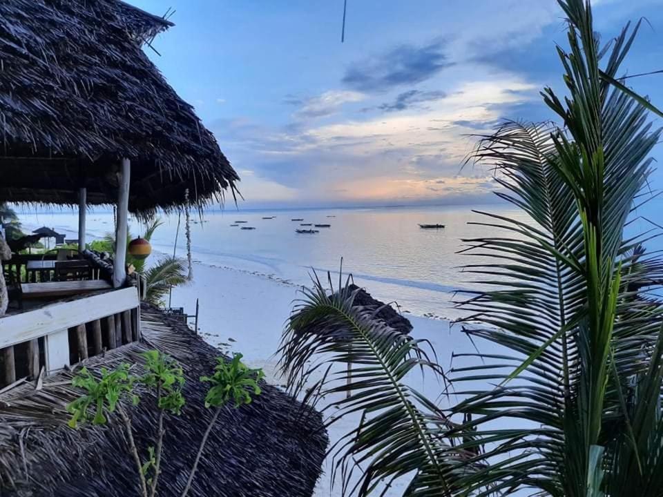 Sweet Beach Apartments Jambiani  Exterior foto