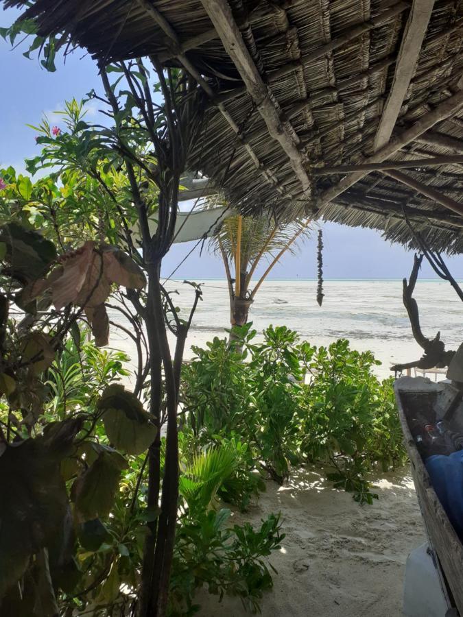 Sweet Beach Apartments Jambiani  Exterior foto